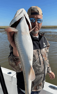Early Season Redfish